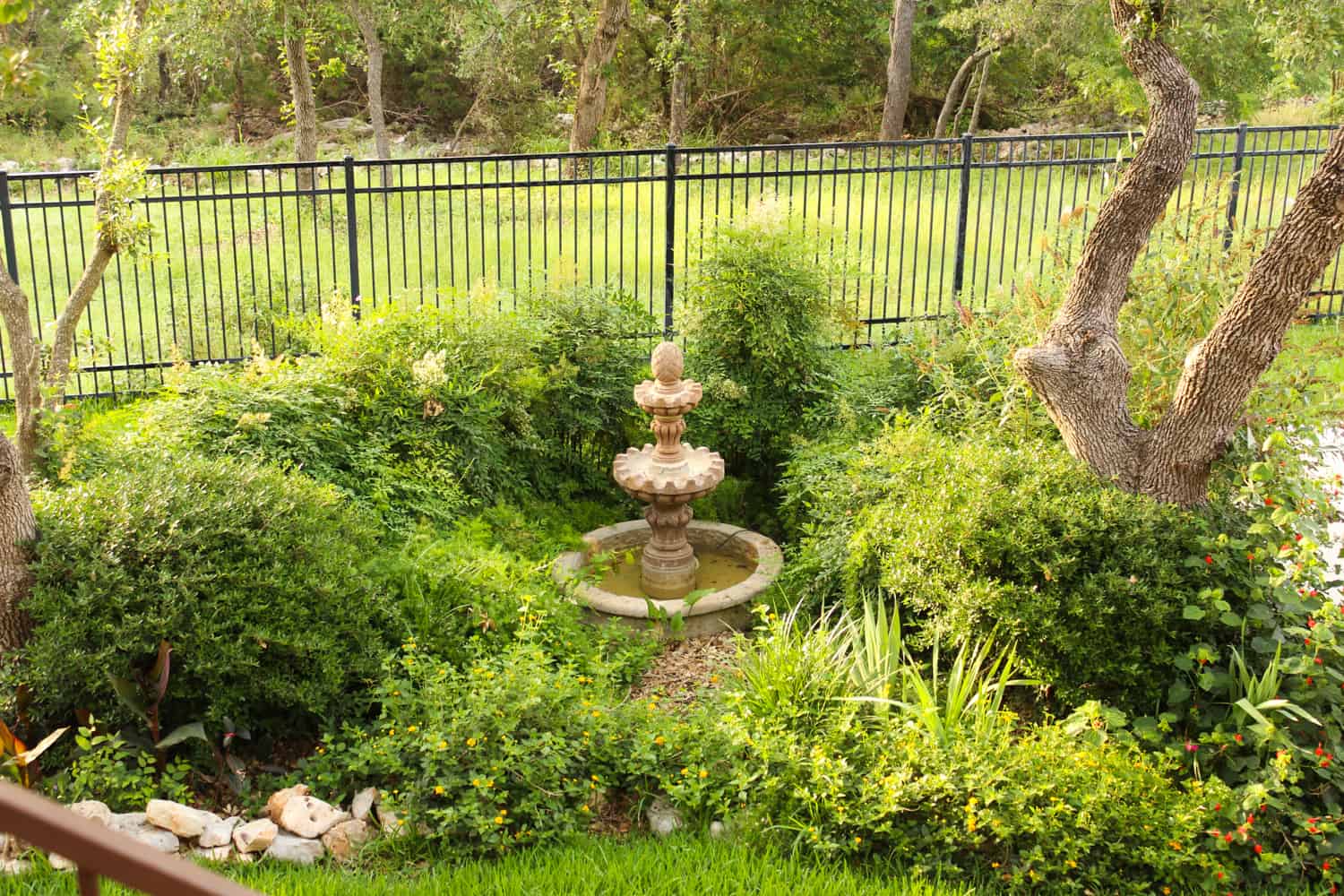 Mix of non-natives and native landscape design with fountain.