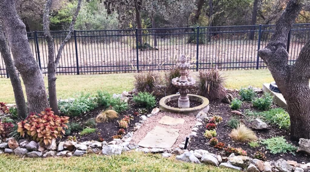 Landscaping with mix of native and non-native plants in Texas yard.