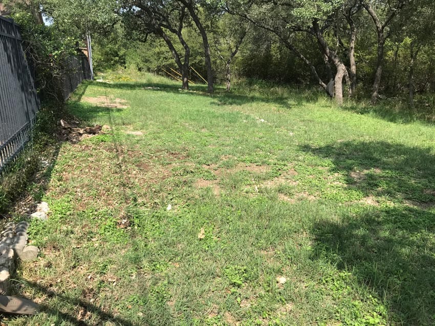 Converting a patch of grass to a butterfly and bee garden.