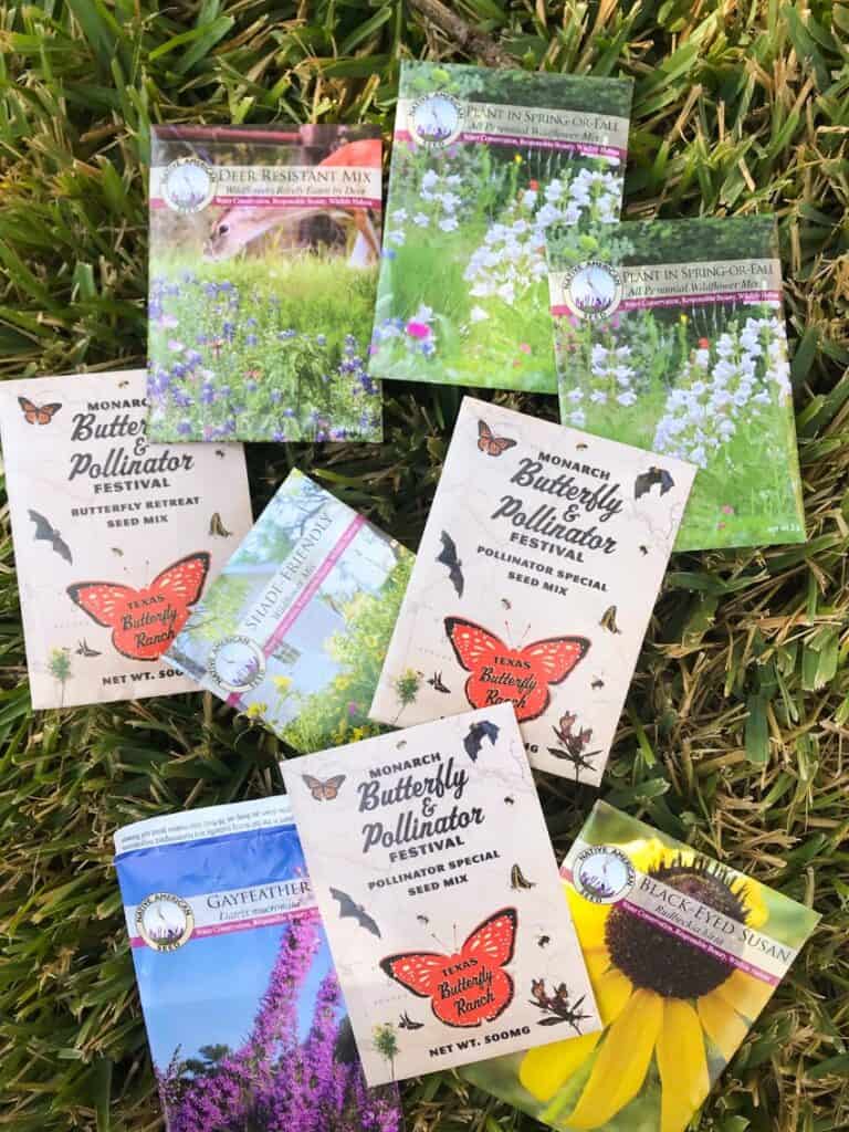 Top 5 Places to Buy Native Wildflower Seeds Online