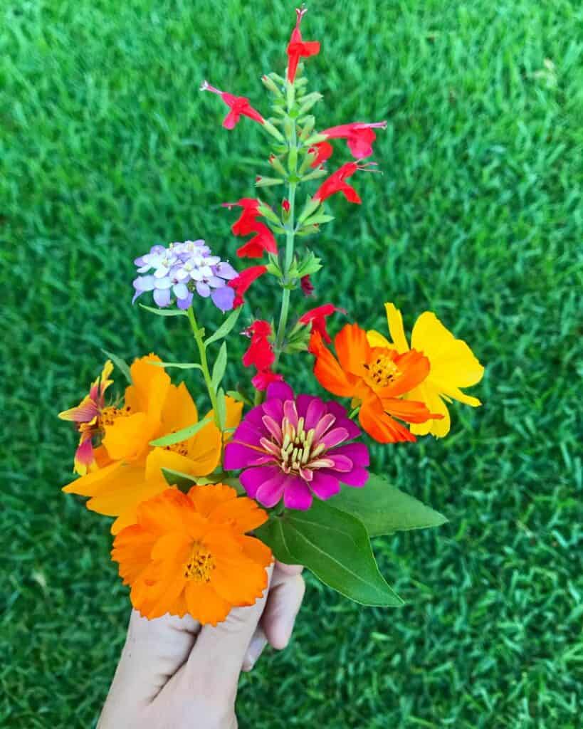 Bouquet of wildflowers.