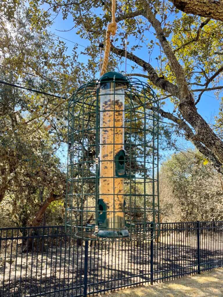 Squirrel proof bird feeder