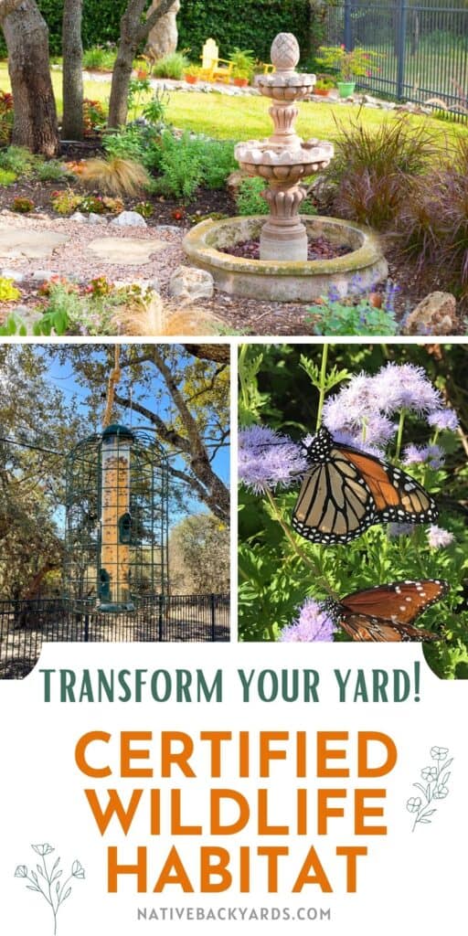 Certifying Your Yard or Garden as a Wildlife Habitat