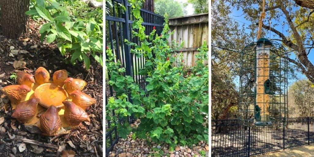 How To Make Your Yard A Certified Wildlife Habitat - Native Backyards