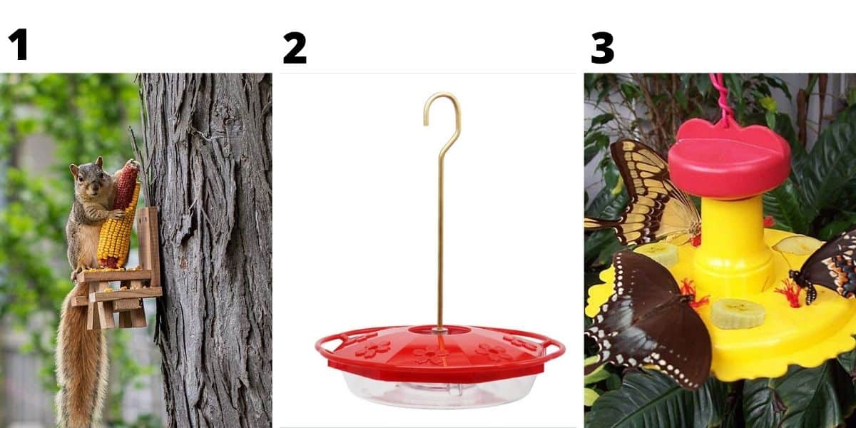 Different types of wildlife feeders for a backyard habitat