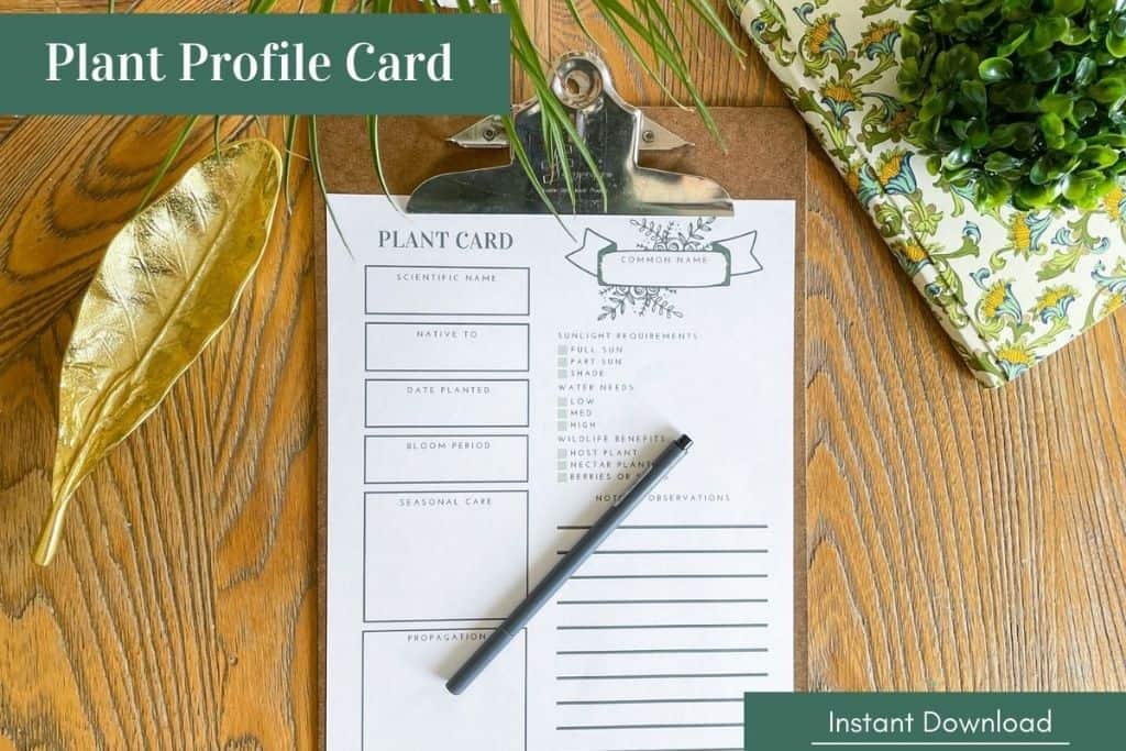 Plant profile card - Native Backyards shop