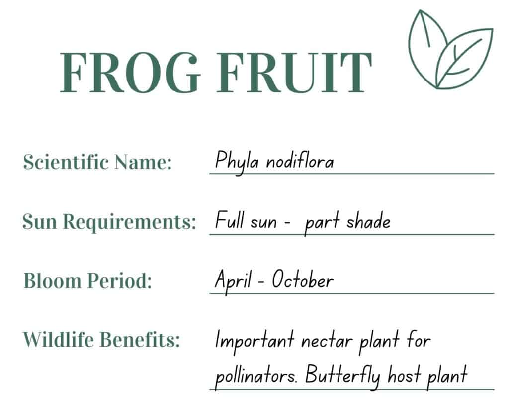 Editable printable plant label