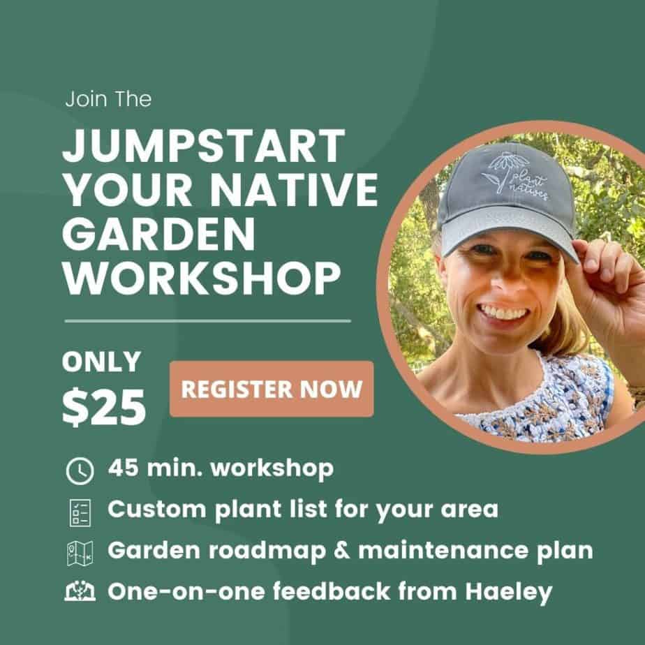 Jumpstart Your Native Plant Garden