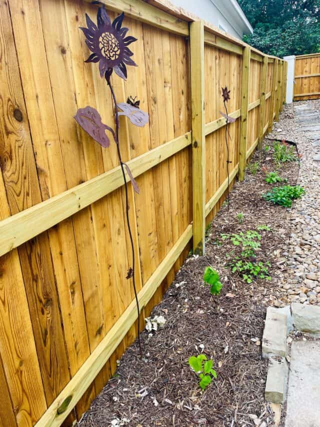 The BEST Trick to Prevent Weeds in Flower Beds Native Backyards