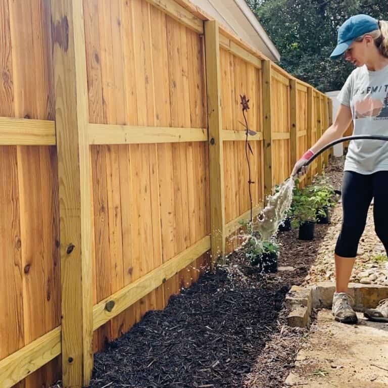 The BEST Trick to Prevent Weeds in Flower Beds Native Backyards