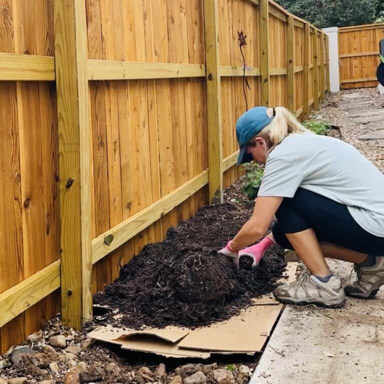 the-best-trick-to-prevent-weeds-in-flower-beds-native-backyards