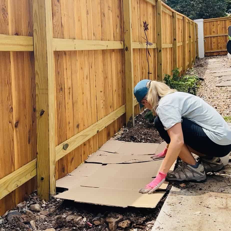 Sheet mulching with cardboard to kill weeds