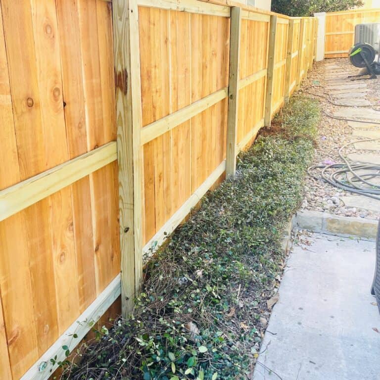 The BEST Trick to Prevent Weeds in Flower Beds Native Backyards