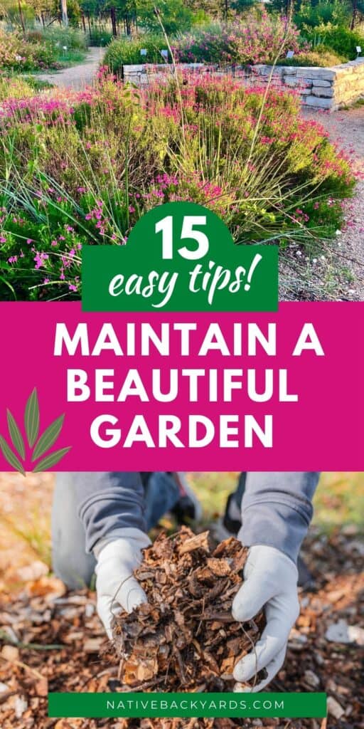 How to maintain a garden