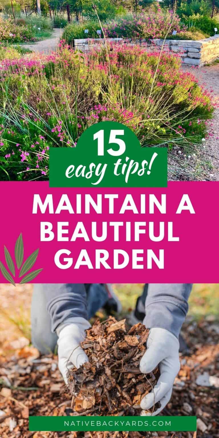 Top 15 Easy Garden Maintenance Tips [2022] Native Backyards