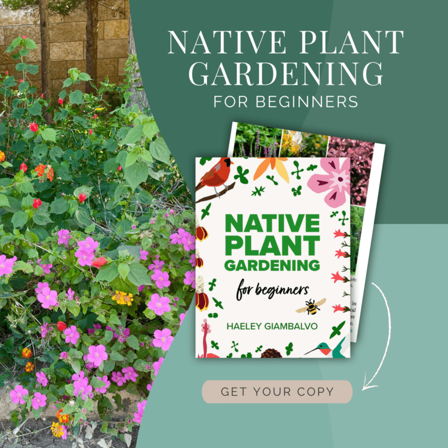 Native Plant Gardening for Beginners Book by Haeley Giambalvo