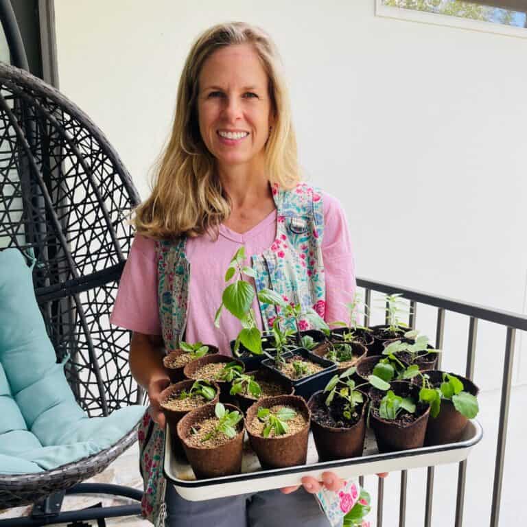 Native Gardening Courses for Beginners Native Backyards