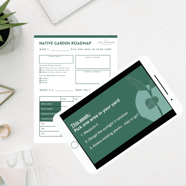 Native Gardening Courses for Beginners Native Backyards