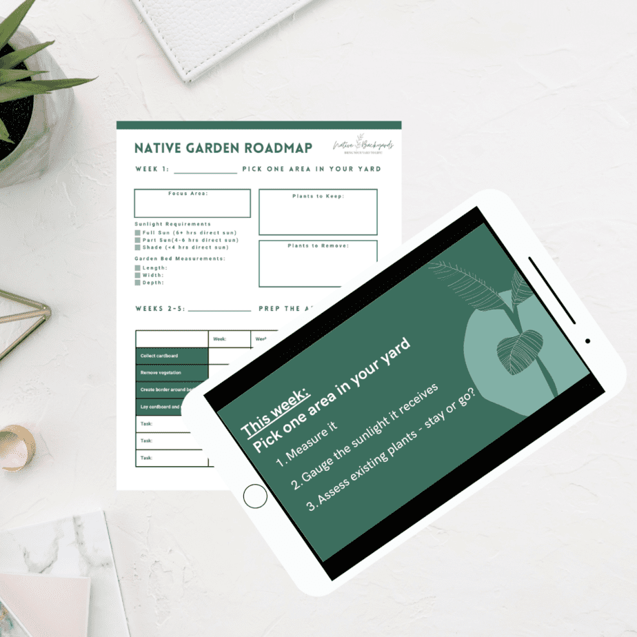 Jumpstart Your Native Garden Online Class
