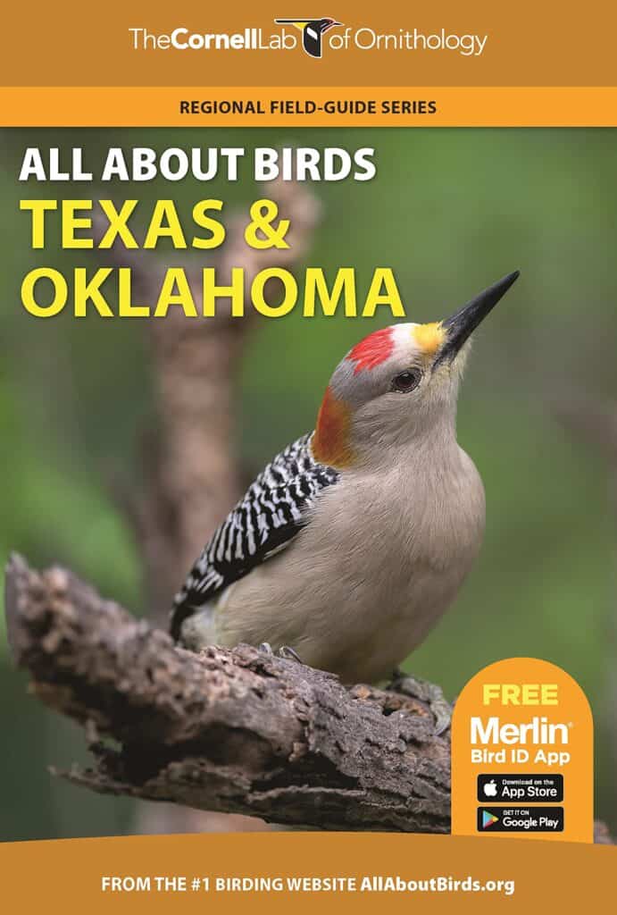 Texas bird guide