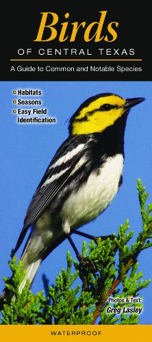 Texas birds pocket guide