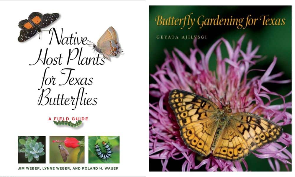 Books about Texas butterflies 
