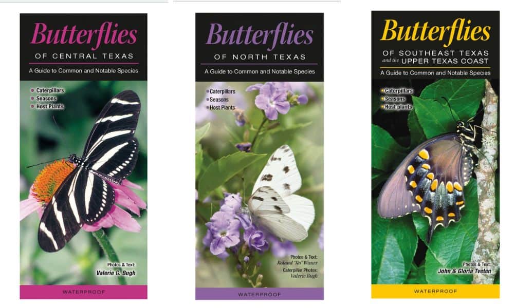 Texas Butterflies field guides
