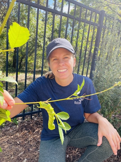 Butterfly Gardening Class - Bring on the Butterflies