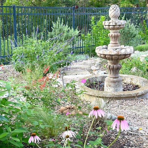 Native Backyards garden