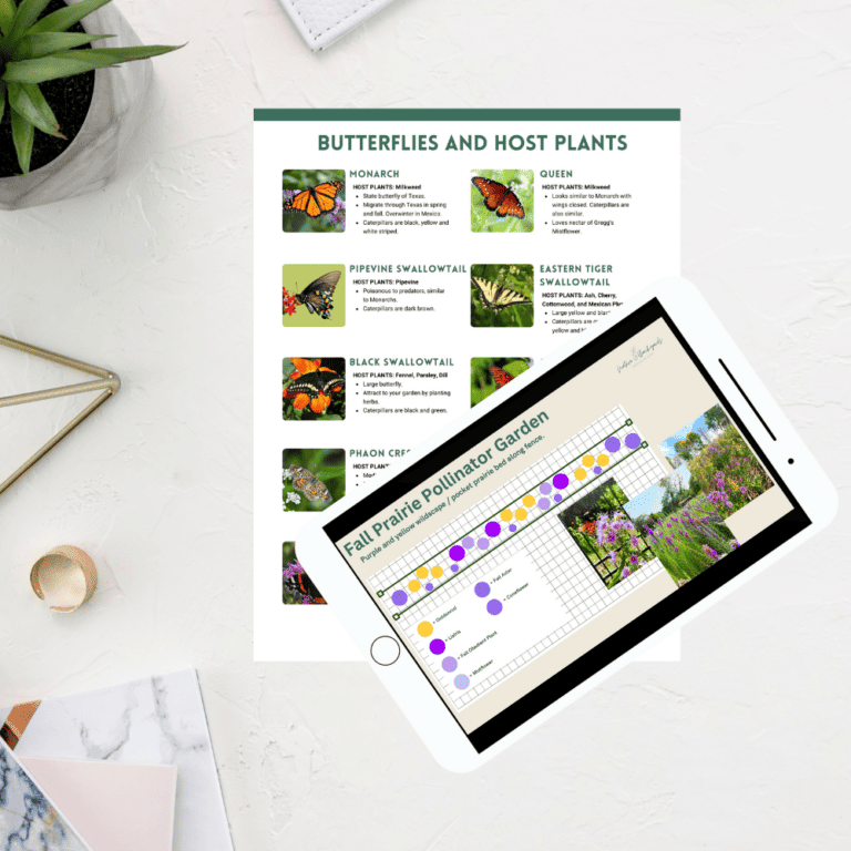 Native Gardening Courses for Beginners Native Backyards