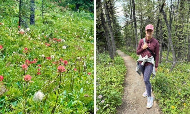 5 Tips for Your Sunshine Meadows Wildflower Hike