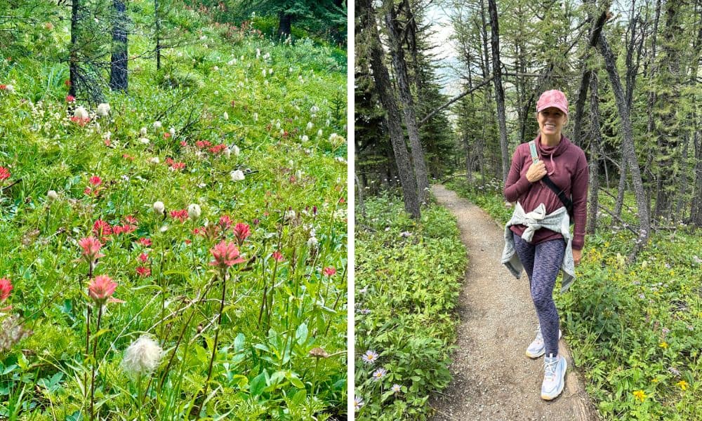 Banff wildflower hike