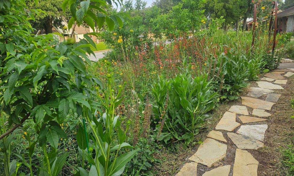 Ornamental plants and pretty pathways increase property value in Houston yard