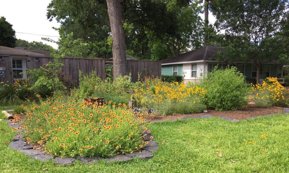 St Augustine grass replaced with low-maintenance landscape