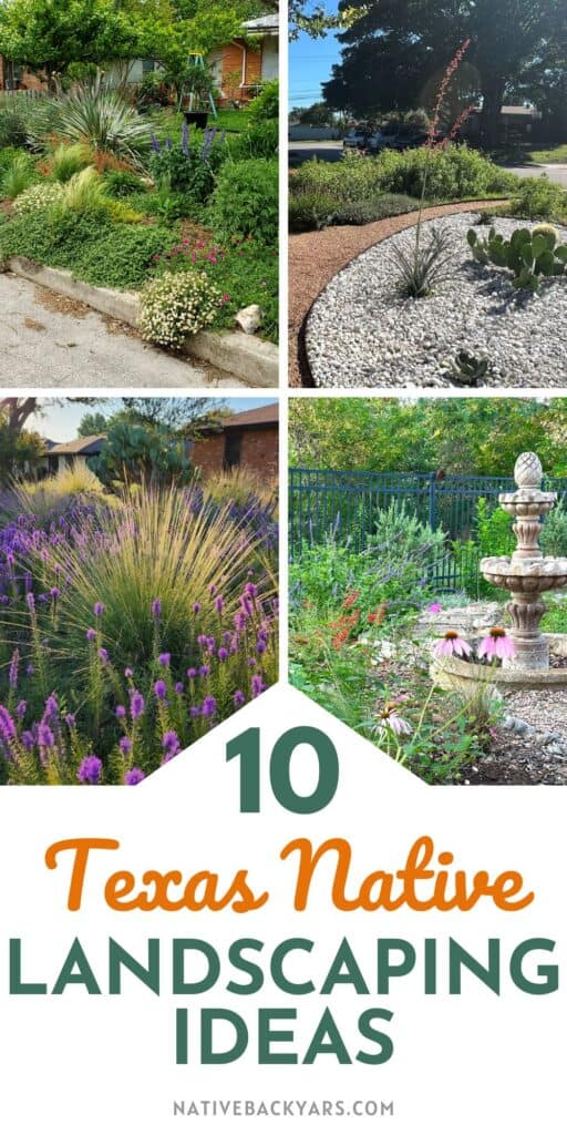 Top 10 Texas native landscaping ideas