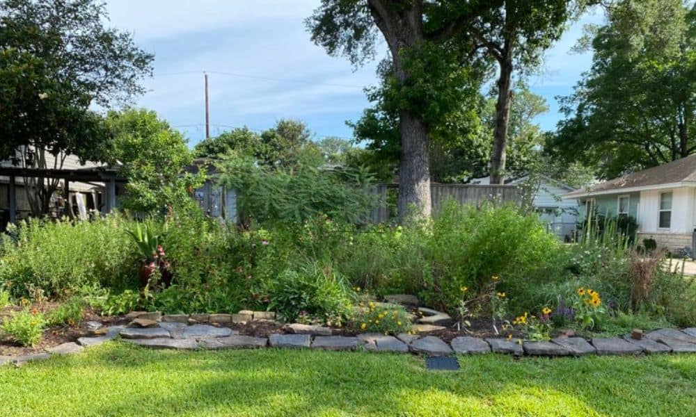 Texas native plant garden with river rock border
