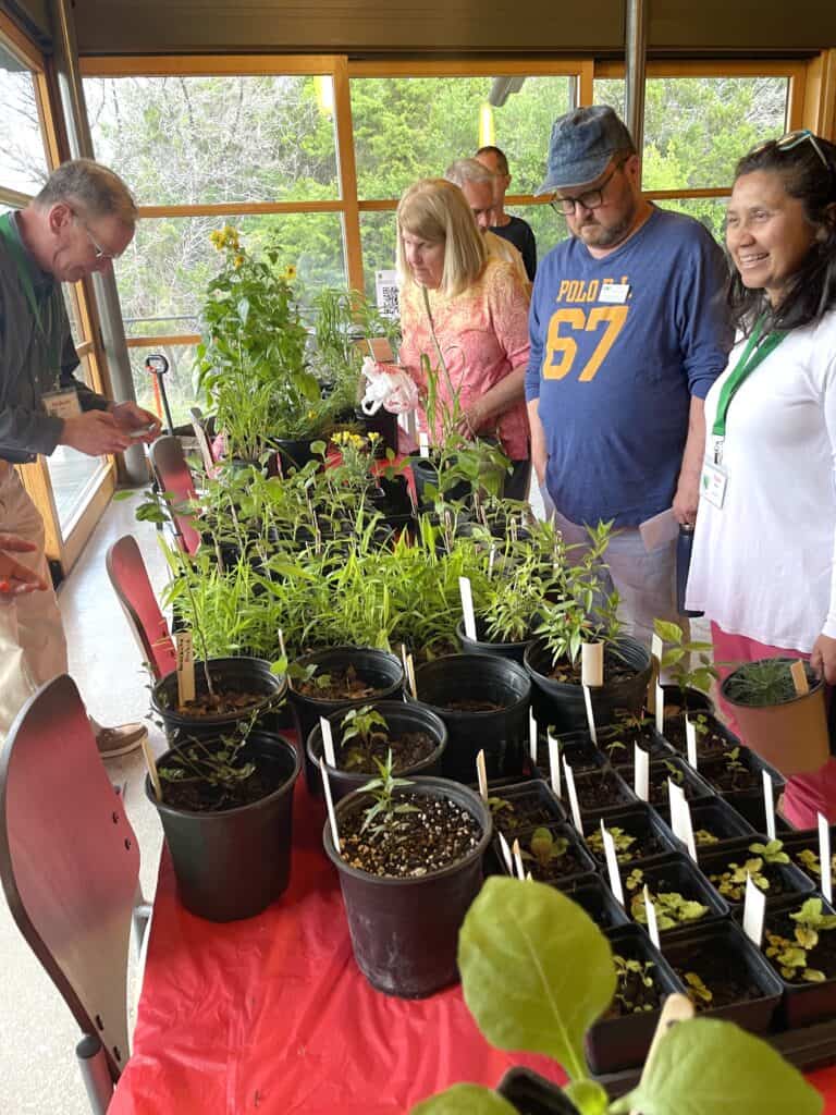 Native Plant Society of Texas San Antonio free native plants