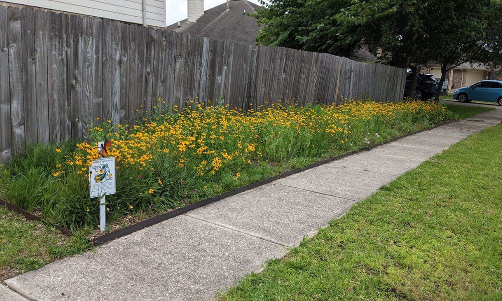 Replace grass with pocket prairie for a low-maintenance yard