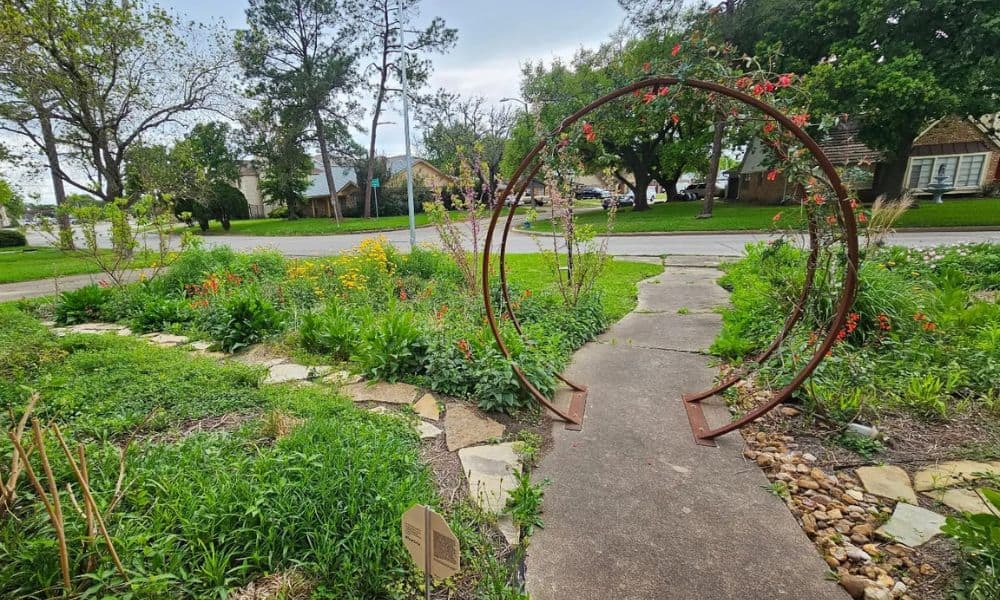 Beautiful landscape with Texas native plants in Houston