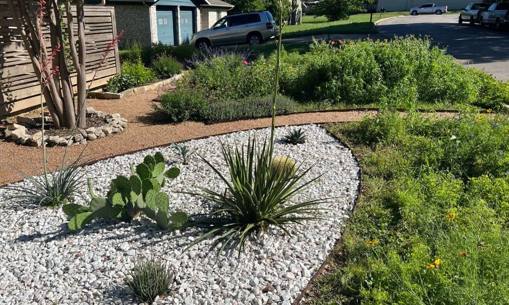 Texas native rock garden is a environmentally friendly alternative to artificial turf.