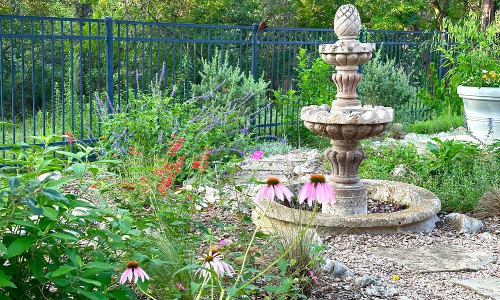 Texas native plant garden with organic mulch