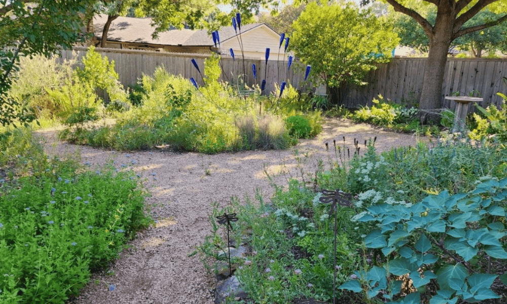 Texas backyard landscaping ideas