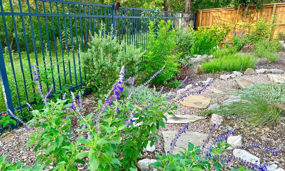 Landscaping in Texas with native plants