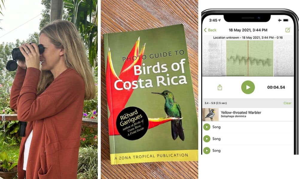 Costa Rica Birding Essentials