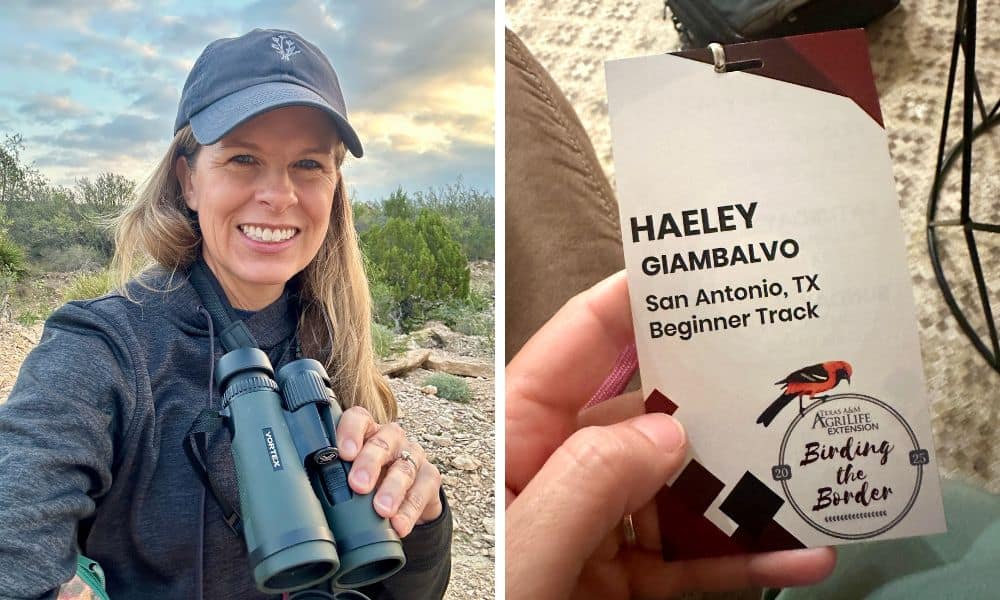 Texas Birding Festival