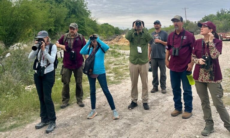 Birding the Border – My First Birding Trip!