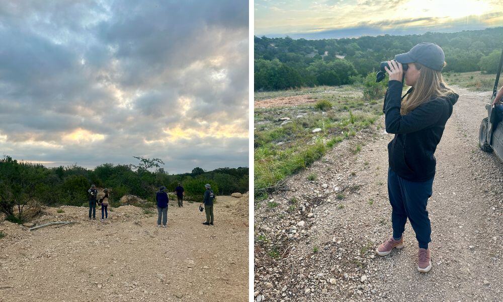 Birding the Border with Texas A&M
