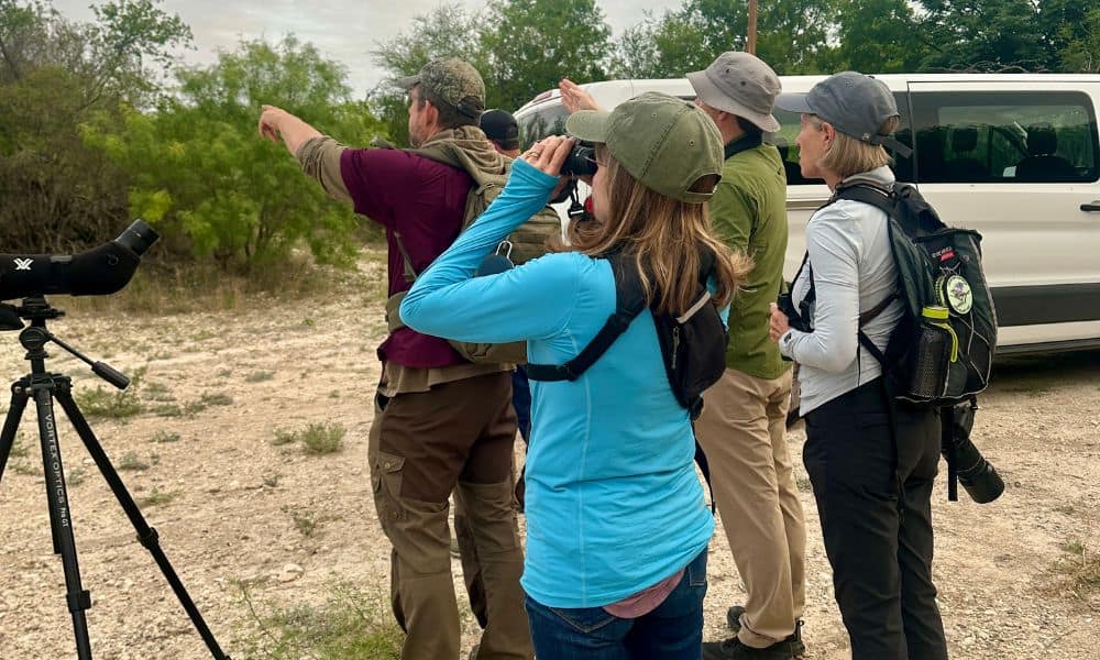 Texas Birding Tours