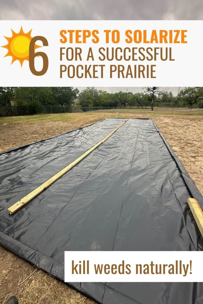 Solarization to kill weeds