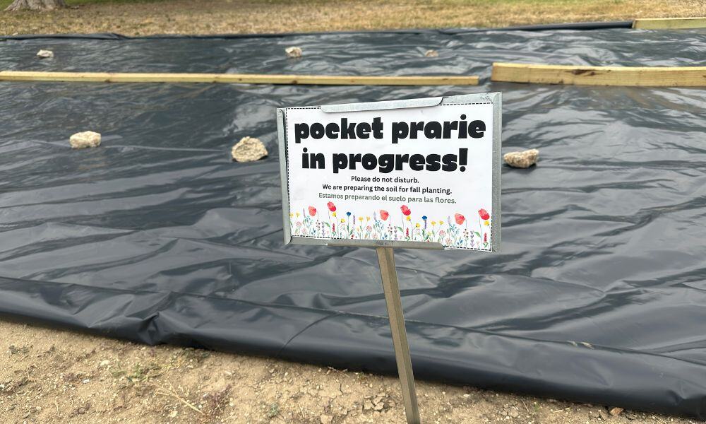 How to prep a pocket prairie with plastic